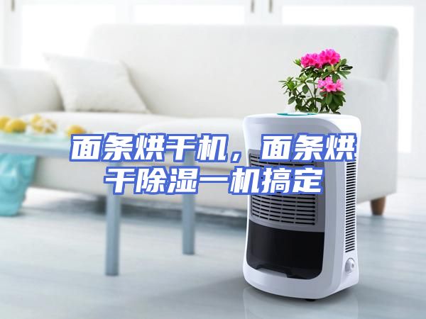 面条烘干机，面条烘干除湿一机搞定