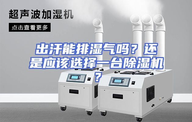 出汗能排湿气吗？还是应该选择一台除湿机？