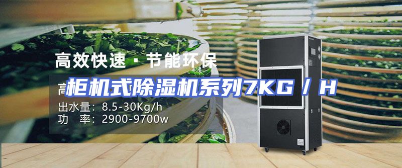 柜机式除湿机系列7KG／H