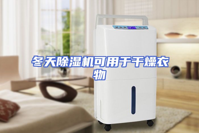 冬天除湿机可用于干燥衣物