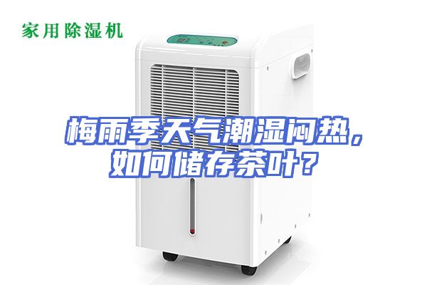 梅雨季天气潮湿闷热，如何储存茶叶？