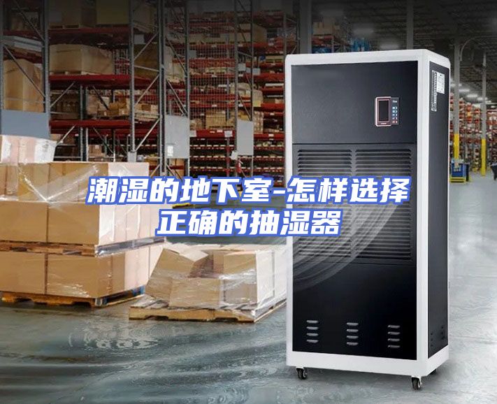 潮湿的地下室-怎样选择正确的抽湿器