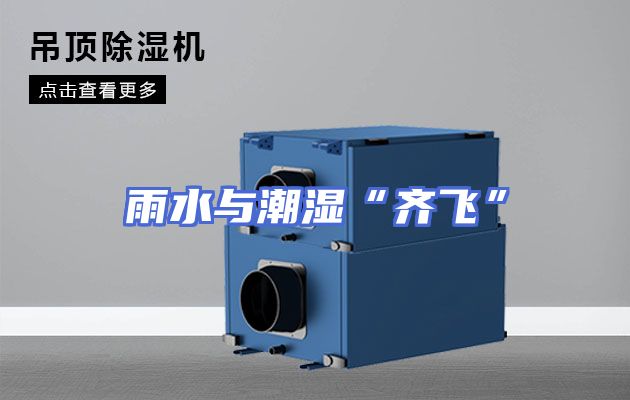 雨水与潮湿“齐飞”