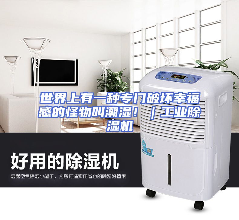 世界上有一种专门破坏幸福感的怪物叫潮湿！｜工业除湿机