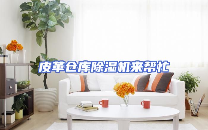 皮革仓库除湿机来帮忙