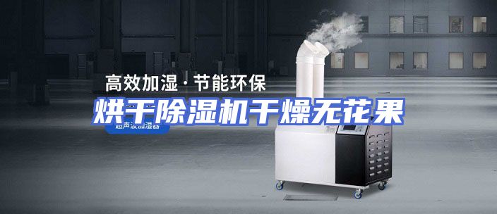 烘干除湿机干燥无花果