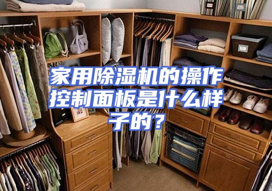 家用除湿机的操作控制面板是什么样子的？