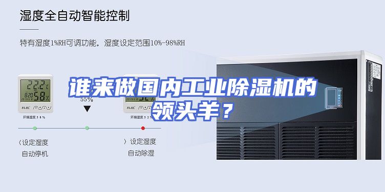 谁来做国内工业除湿机的领头羊？