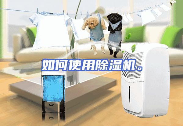 如何使用除湿机。