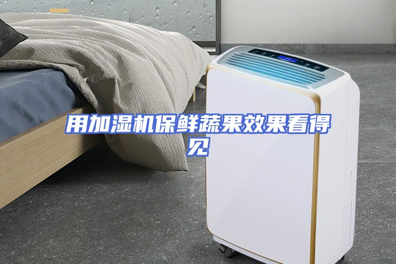 用加湿机保鲜蔬果效果看得见