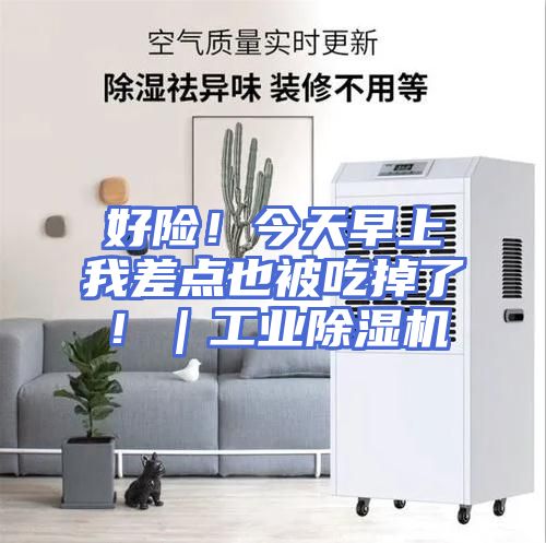 好险！今天早上我差点也被吃掉了！｜工业除湿机