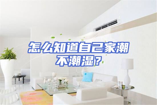 怎么知道自己家潮不潮湿？