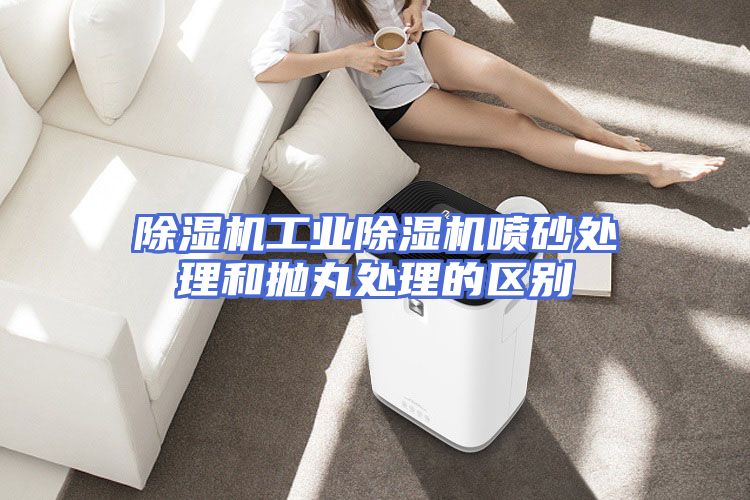 除湿机工业除湿机喷砂处理和抛丸处理的区别