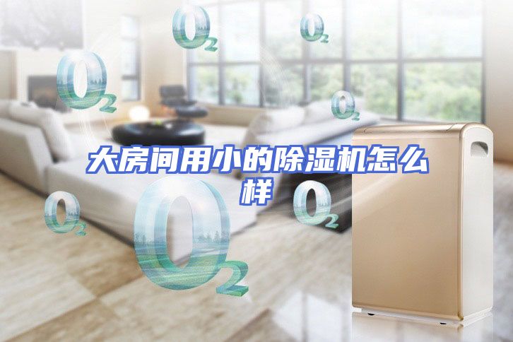 大房间用小的除湿机怎么样