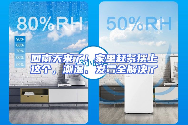 回南天来了！家里赶紧摆上这个，潮湿、发霉全解决了