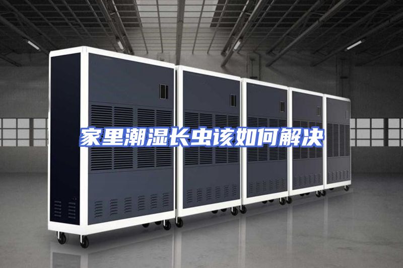 家里潮湿长虫该如何解决