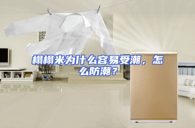榻榻米为什么容易受潮，怎么防潮？