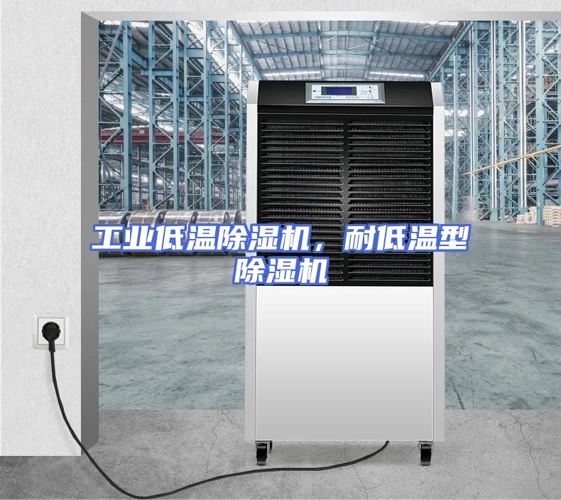 工业低温除湿机，耐低温型除湿机