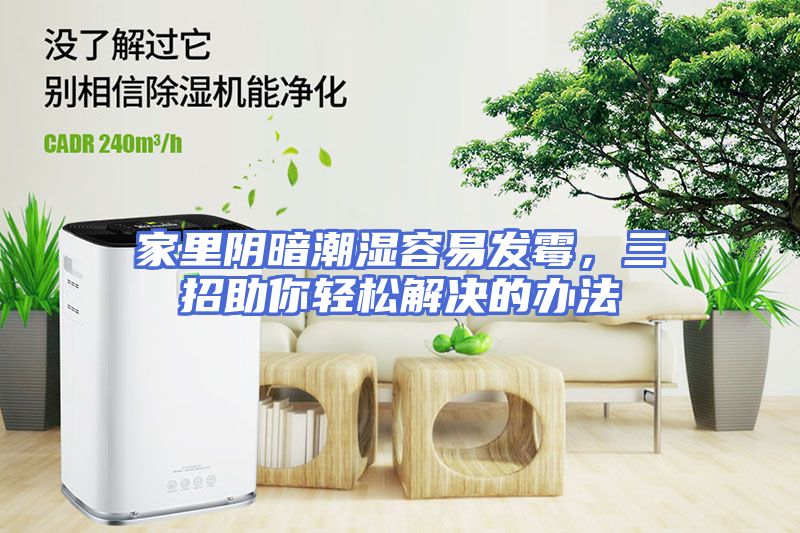 家里阴暗潮湿容易发霉，三招助你轻松解决的办法