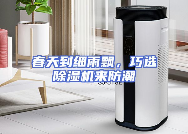 春天到细雨飘，巧选除湿机来防潮