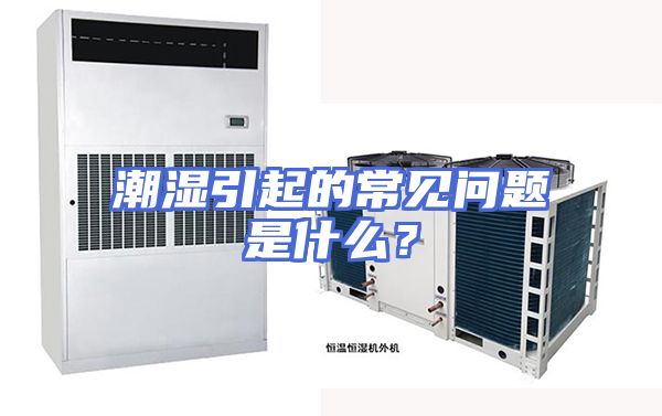 潮湿引起的常见问题是什么？