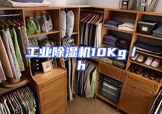 工业除湿机10Kg／h