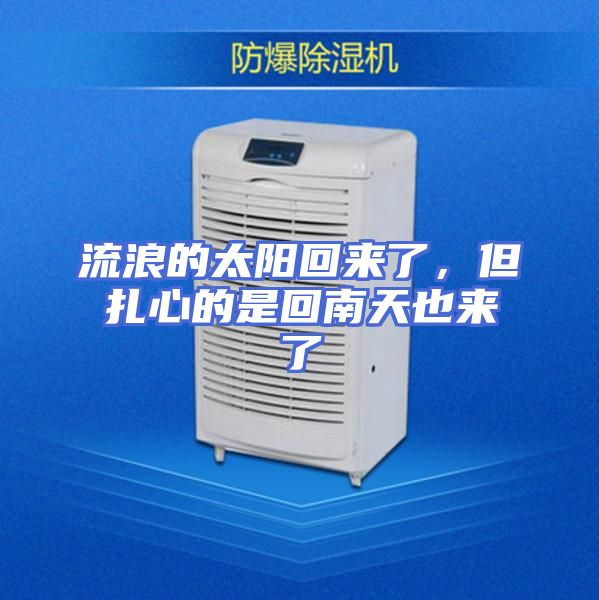 流浪的太阳回来了，但扎心的是回南天也来了