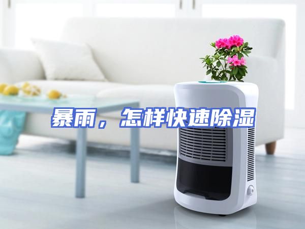 暴雨，怎样快速除湿