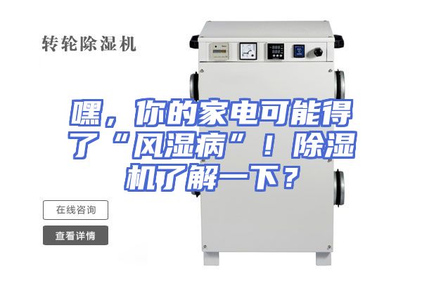 嘿，你的家电可能得了“风湿病”！除湿机了解一下？