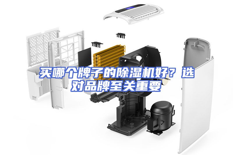 买哪个牌子的除湿机好？选对品牌至关重要