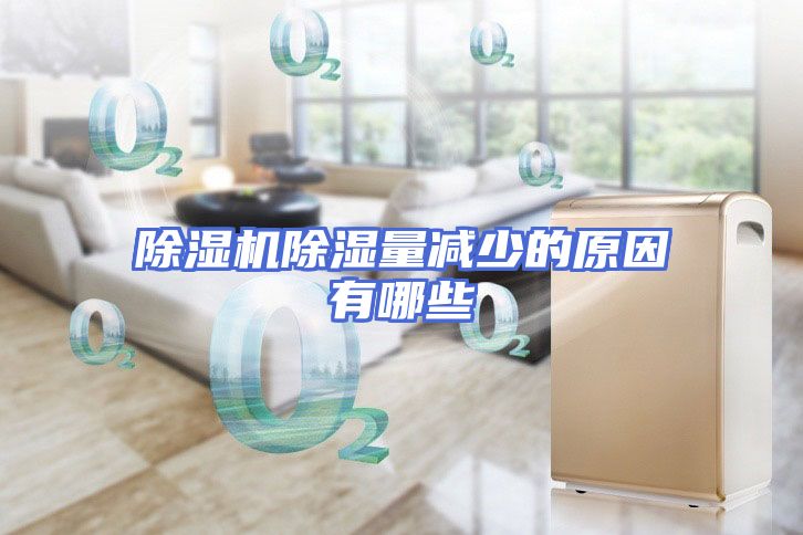 除湿机除湿量减少的原因有哪些