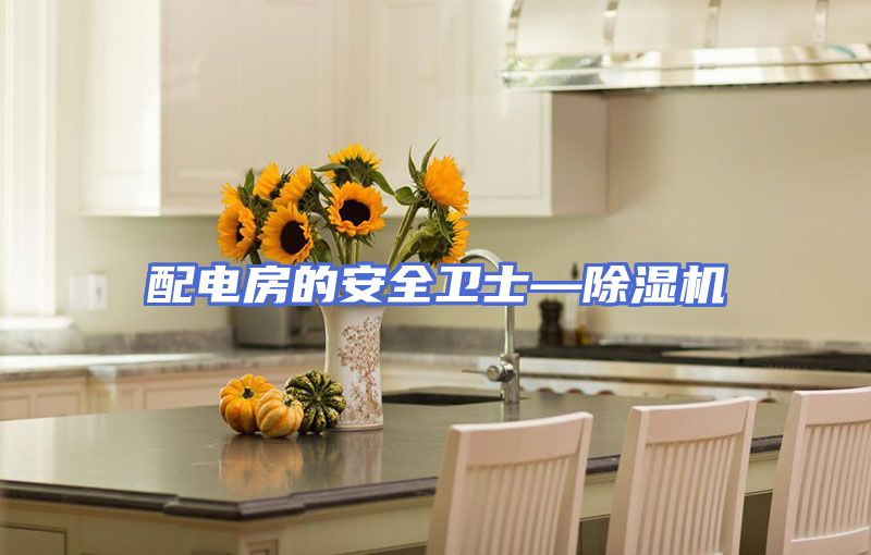 配电房的安全卫士—除湿机
