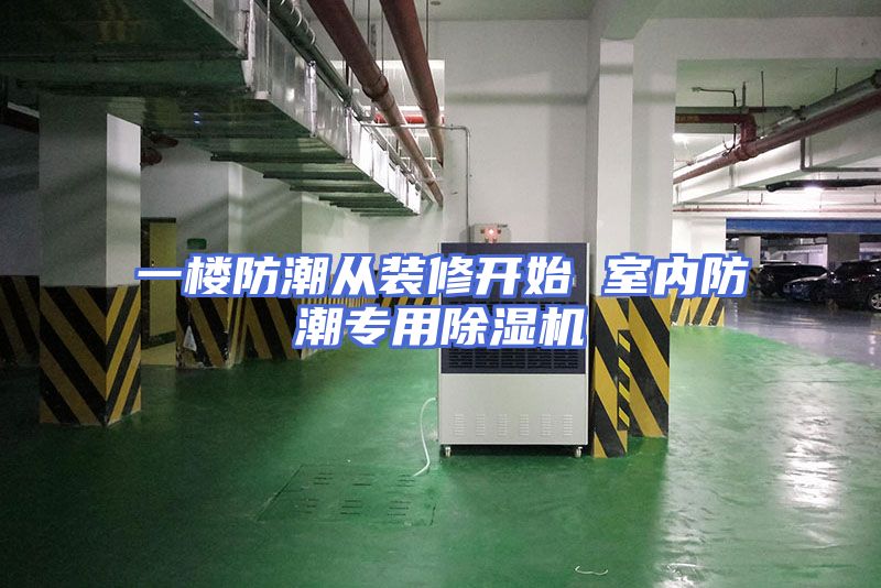 一楼防潮从装修开始 室内防潮专用除湿机