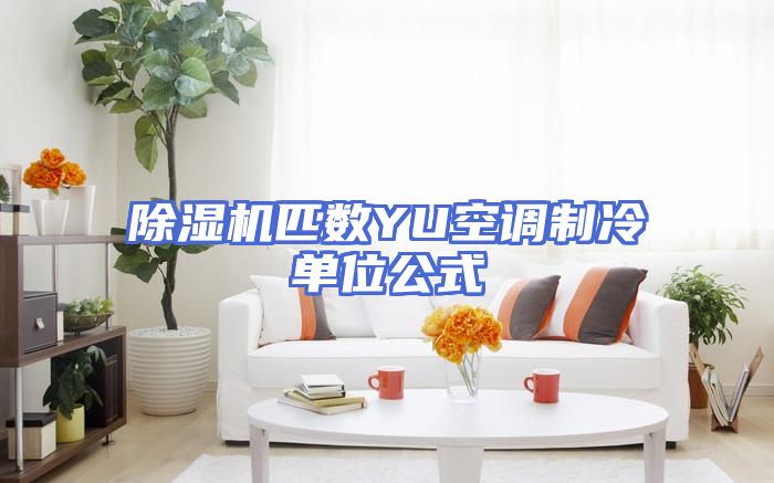 除湿机匹数YU空调制冷单位公式