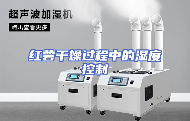 红薯干燥过程中的湿度控制