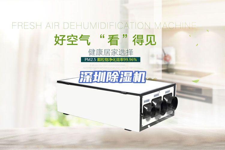 深圳除湿机