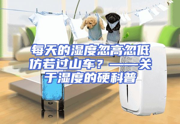 每天的湿度忽高忽低仿若过山车？——关于湿度的硬科普