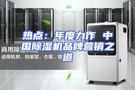 热点：年度力作 中国除湿机品牌营销之道