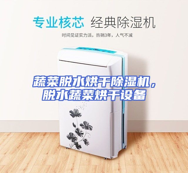 蔬菜脱水烘干除湿机，脱水蔬菜烘干设备