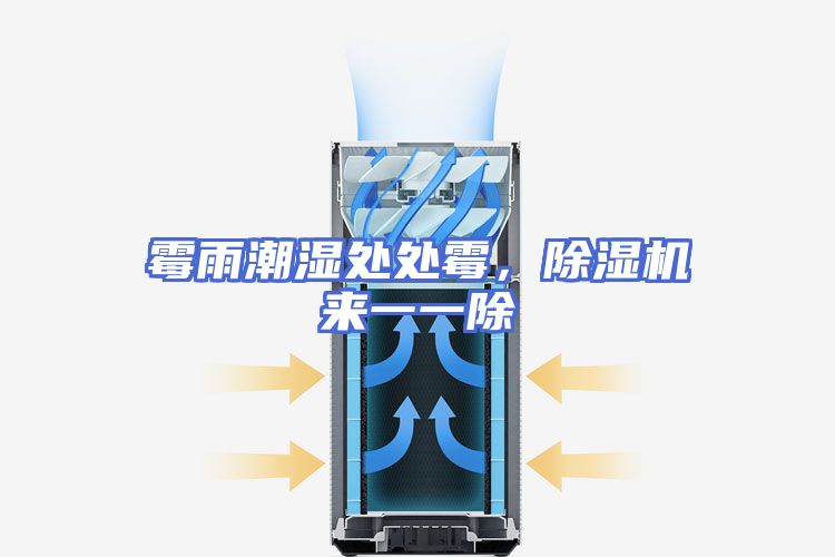 霉雨潮湿处处霉，除湿机来一一除