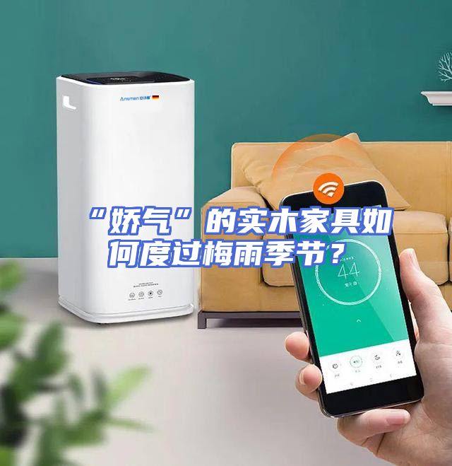 “娇气”的实木家具如何度过梅雨季节？