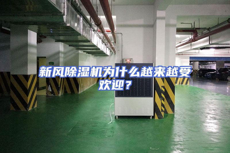 新风除湿机为什么越来越受欢迎？