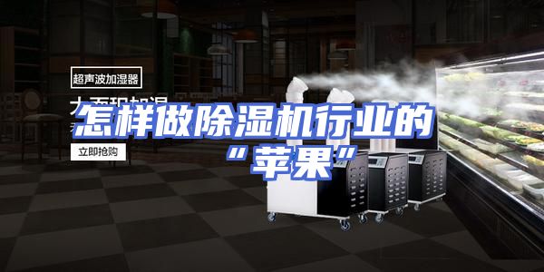 怎样做除湿机行业的“苹果”