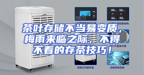 茶叶存储不当易变质，梅雨来临之际，不得不看的存茶技巧！