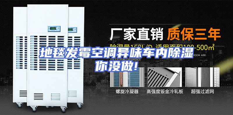 地毯发霉空调异味车内除湿你没做!