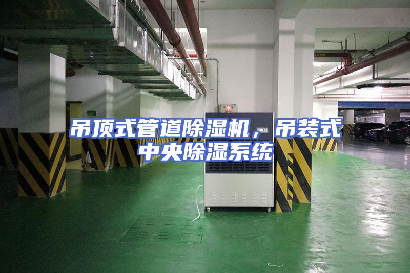 吊顶式管道除湿机，吊装式中央除湿系统