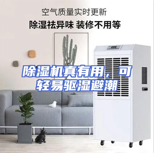 除湿机真有用，可轻易驱湿避潮