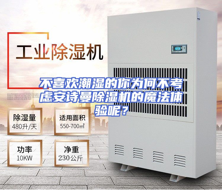 不喜欢潮湿的你为何不考虑安诗曼除湿机的魔法体验呢？