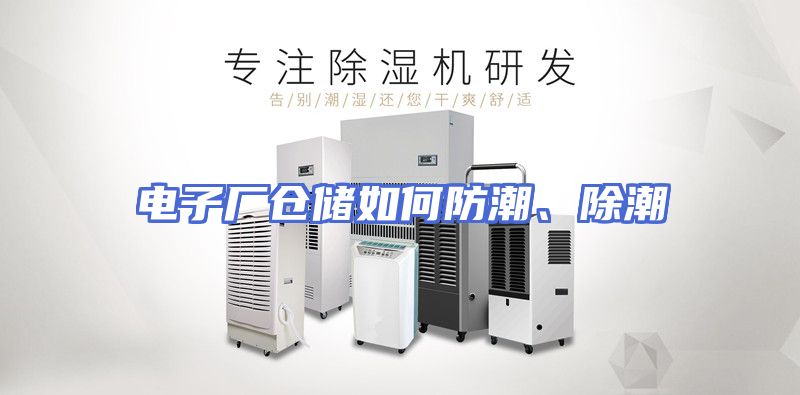 电子厂仓储如何防潮、除潮
