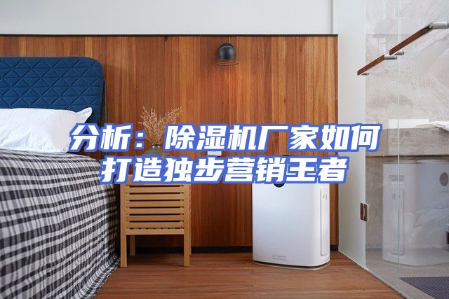 分析：除湿机厂家如何打造独步营销王者